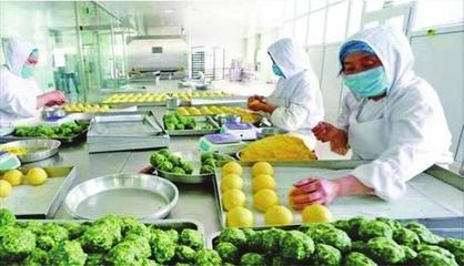 野菜產(chǎn)品進(jìn)駐邯鄲陽光超市，互聯(lián)網(wǎng)銷售助力健康美味成餐桌新寵