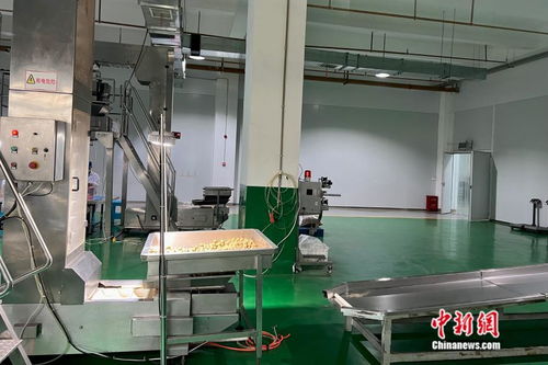 萬千氣象看云南丨從一顆核桃開始，在西南邊陲探索“一縣一業”熱能產品研發