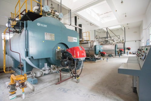 中正鍋爐匠心打造高效燃氣鍋爐系統(tǒng)，助力三易食品節(jié)能降耗