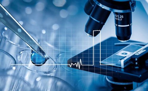 致力美好創(chuàng)造 華絲蘭，一家正在崛起的國(guó)貨新星