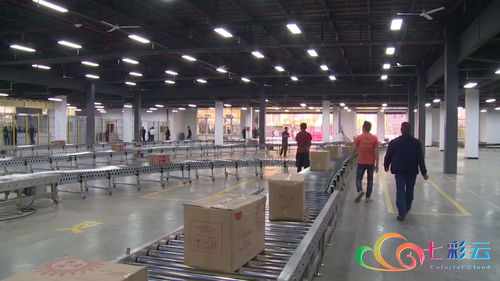 中國-東盟（河口）跨境電商物流產業園開園 陜西貨物進出口迎來新通道